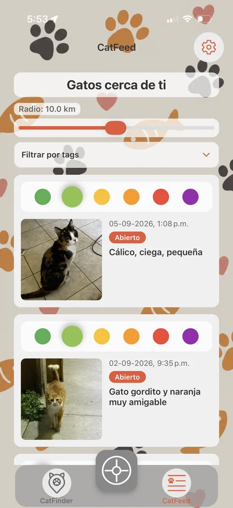 Pantalla CatFeed: listado de los reportes más recientes cerca de ti